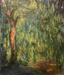 Trauerweide